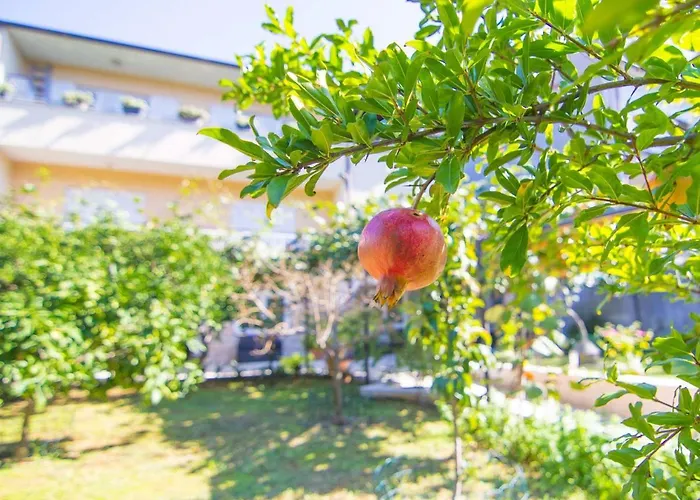 Apartamento With A Garden Pula