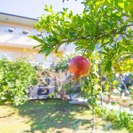 Апартаменты With A Garden Пула