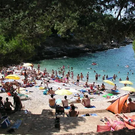 With A Garden Пула